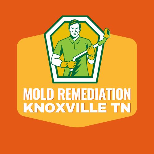 Mold Remediation Knoxville TN