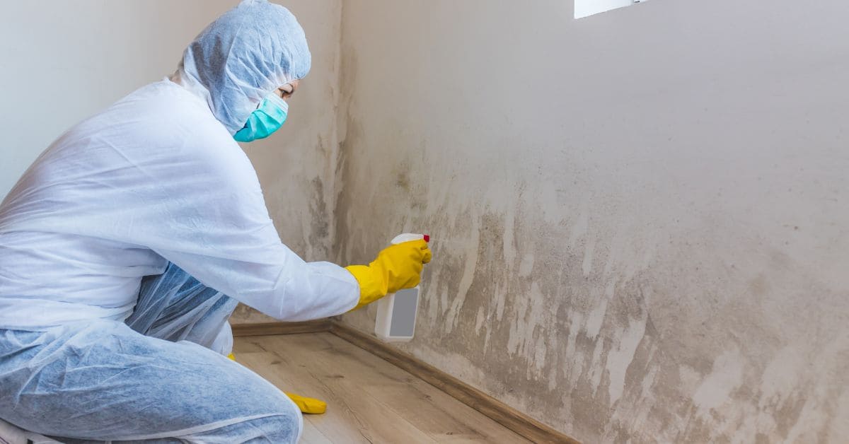 Services Mold Remediation Knoxville TN