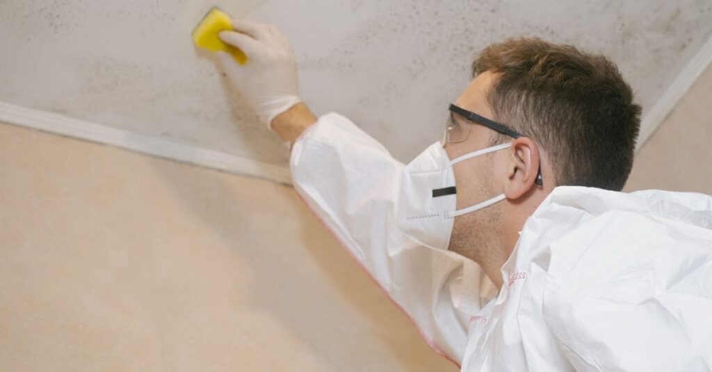 Mold Remediation Knoxville TN - Home