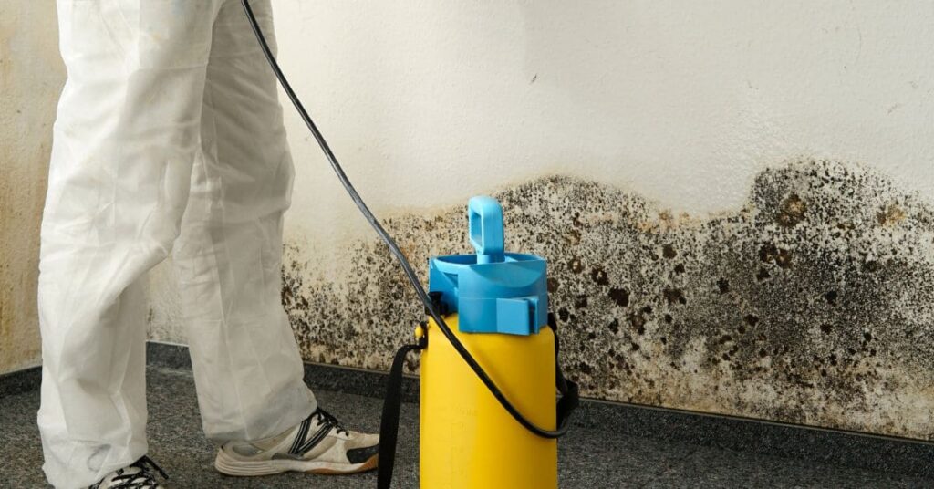 Services - Mold remediation Knoxville TN